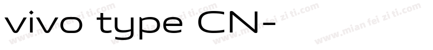 vivo type CN字体转换
